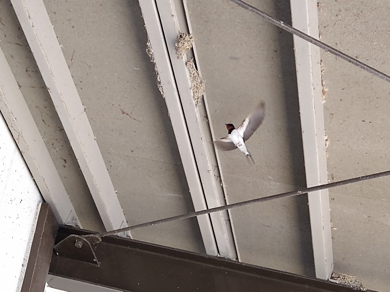 f:id:adiksan:20210423080242j:image f:id:adiksan:20210423080242j:image