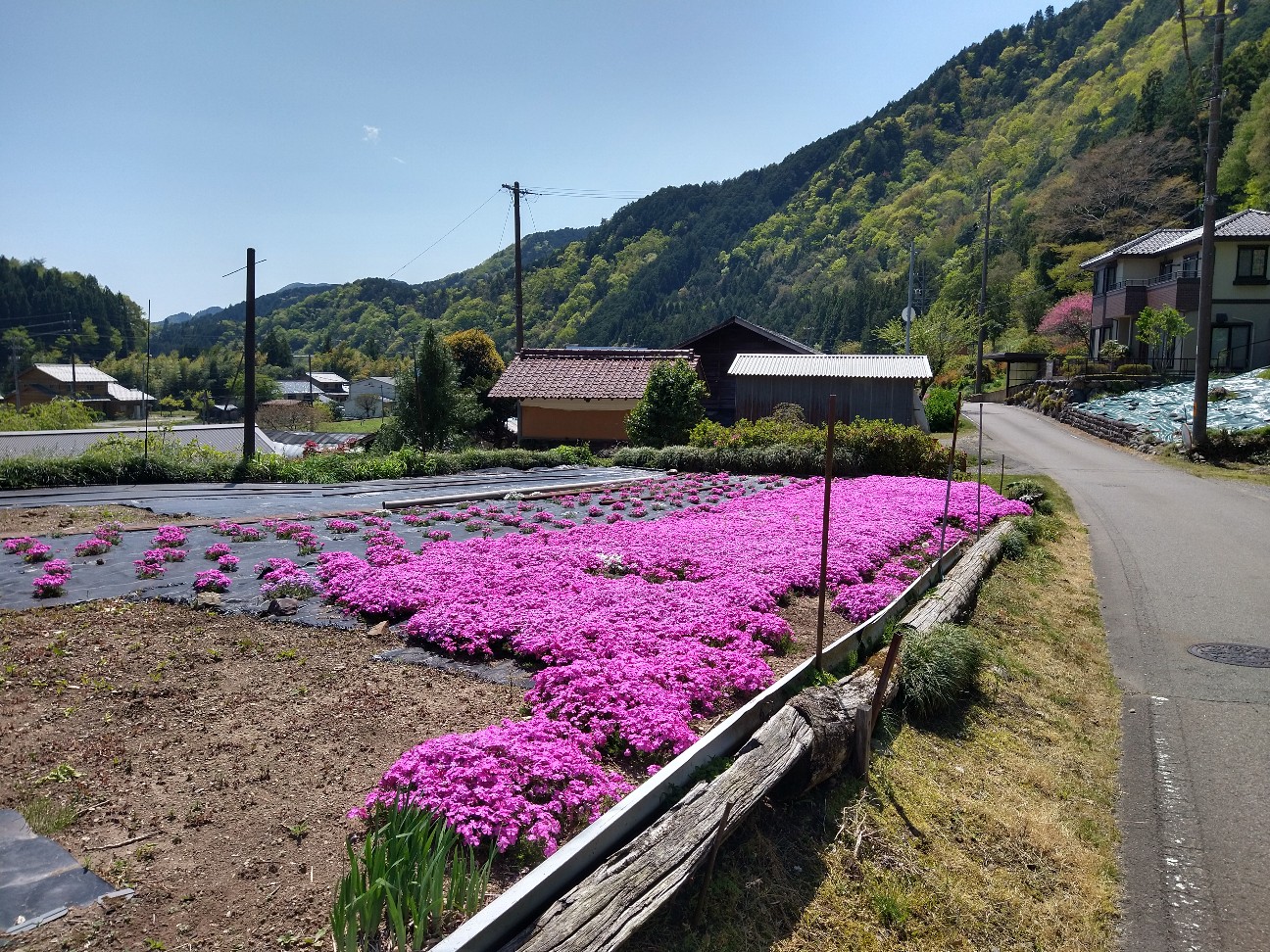 f:id:adiksan:20210423080847j:image f:id:adiksan:20210423080847j:image