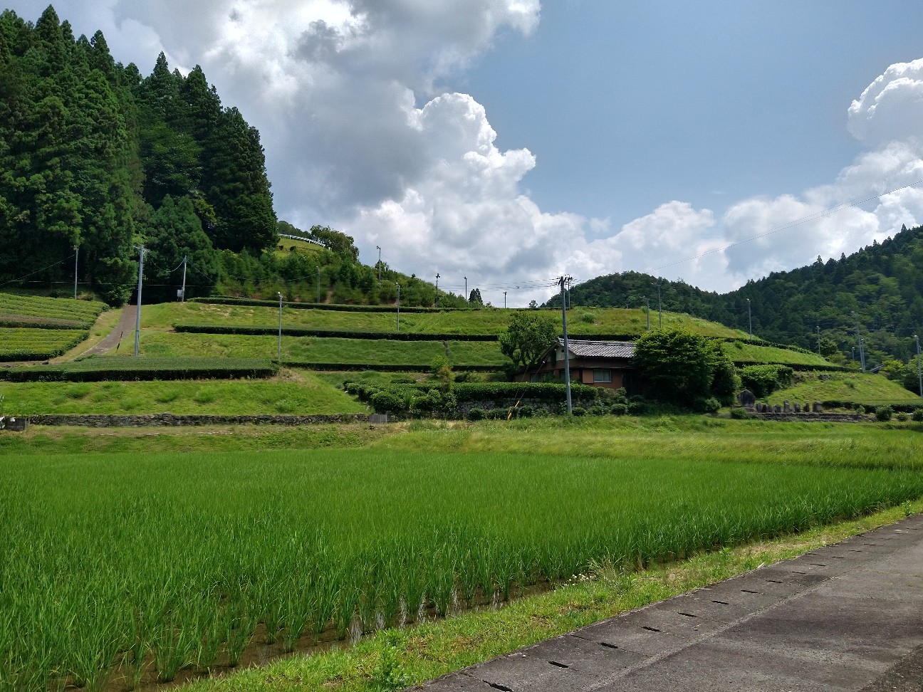 f:id:adiksan:20210625192947j:image f:id:adiksan:20210625192947j:image