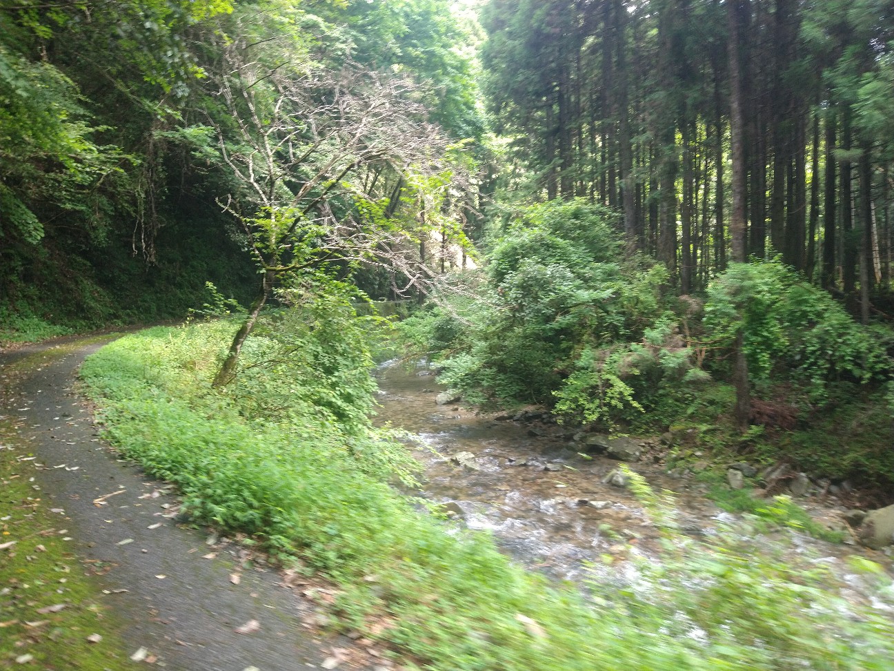 f:id:adiksan:20210730174851j:image f:id:adiksan:20210730174851j:image