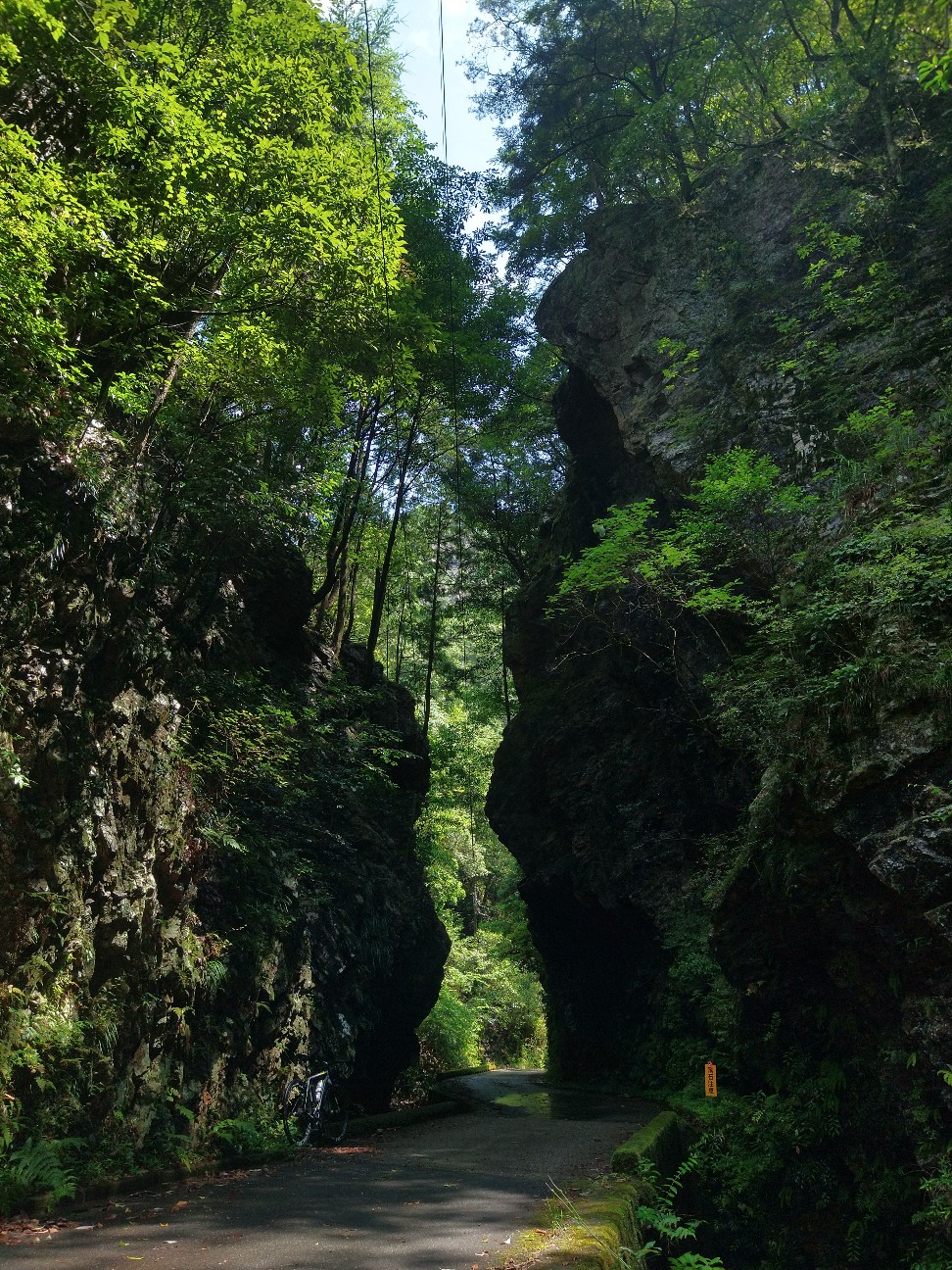 f:id:adiksan:20210730174939j:image f:id:adiksan:20210730174939j:image