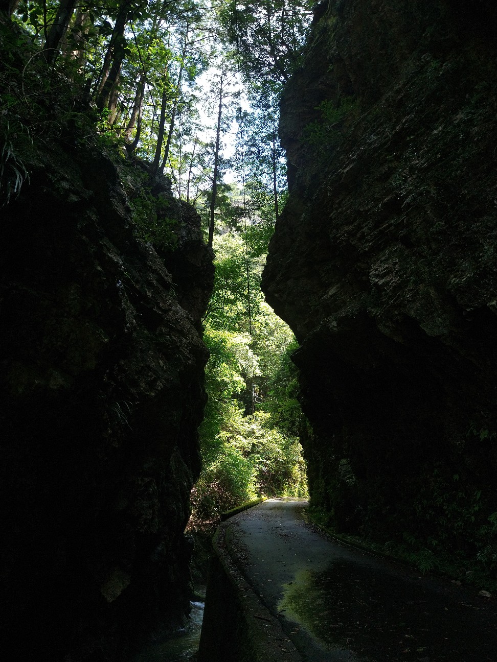 f:id:adiksan:20210730175108j:image f:id:adiksan:20210730175108j:image