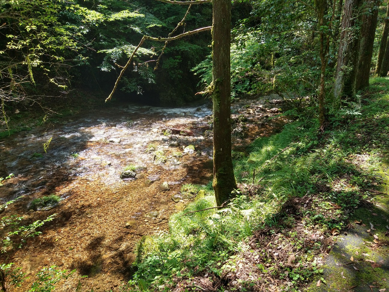 f:id:adiksan:20210730175220j:image f:id:adiksan:20210730175220j:image