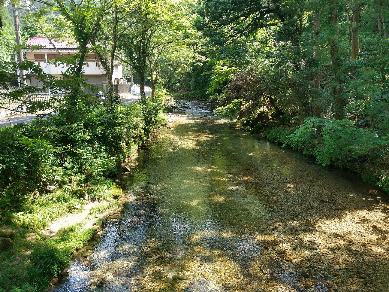 f:id:adiksan:20210730181247j:image f:id:adiksan:20210730181247j:image