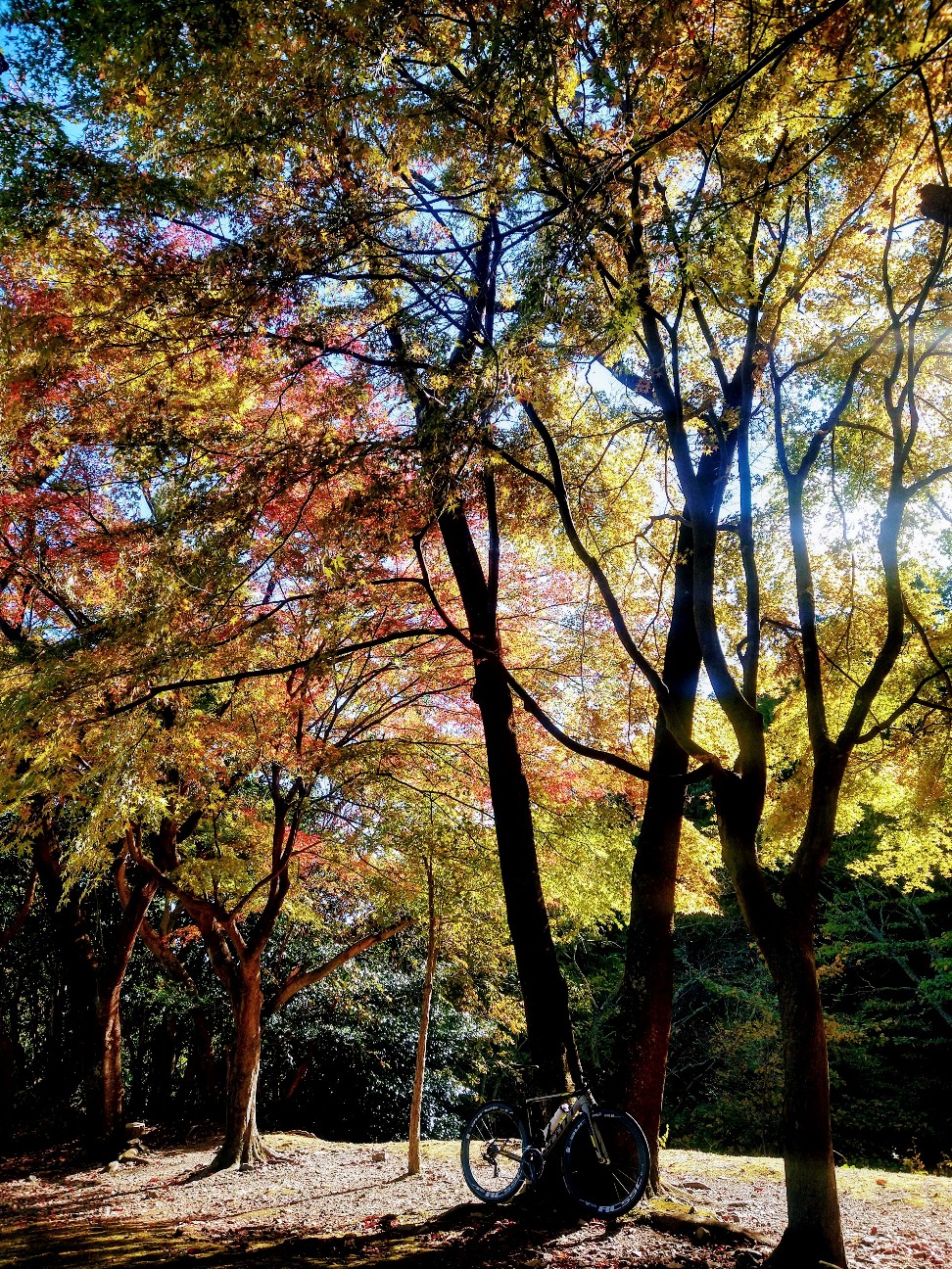 f:id:adiksan:20211226141148j:image f:id:adiksan:20211226141148j:image