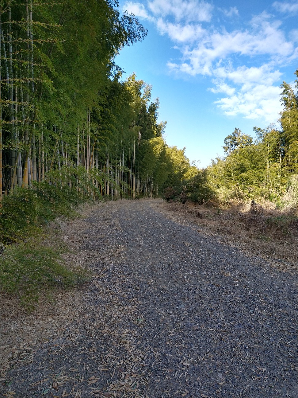 f:id:adiksan:20220210112708j:image f:id:adiksan:20220210112708j:image