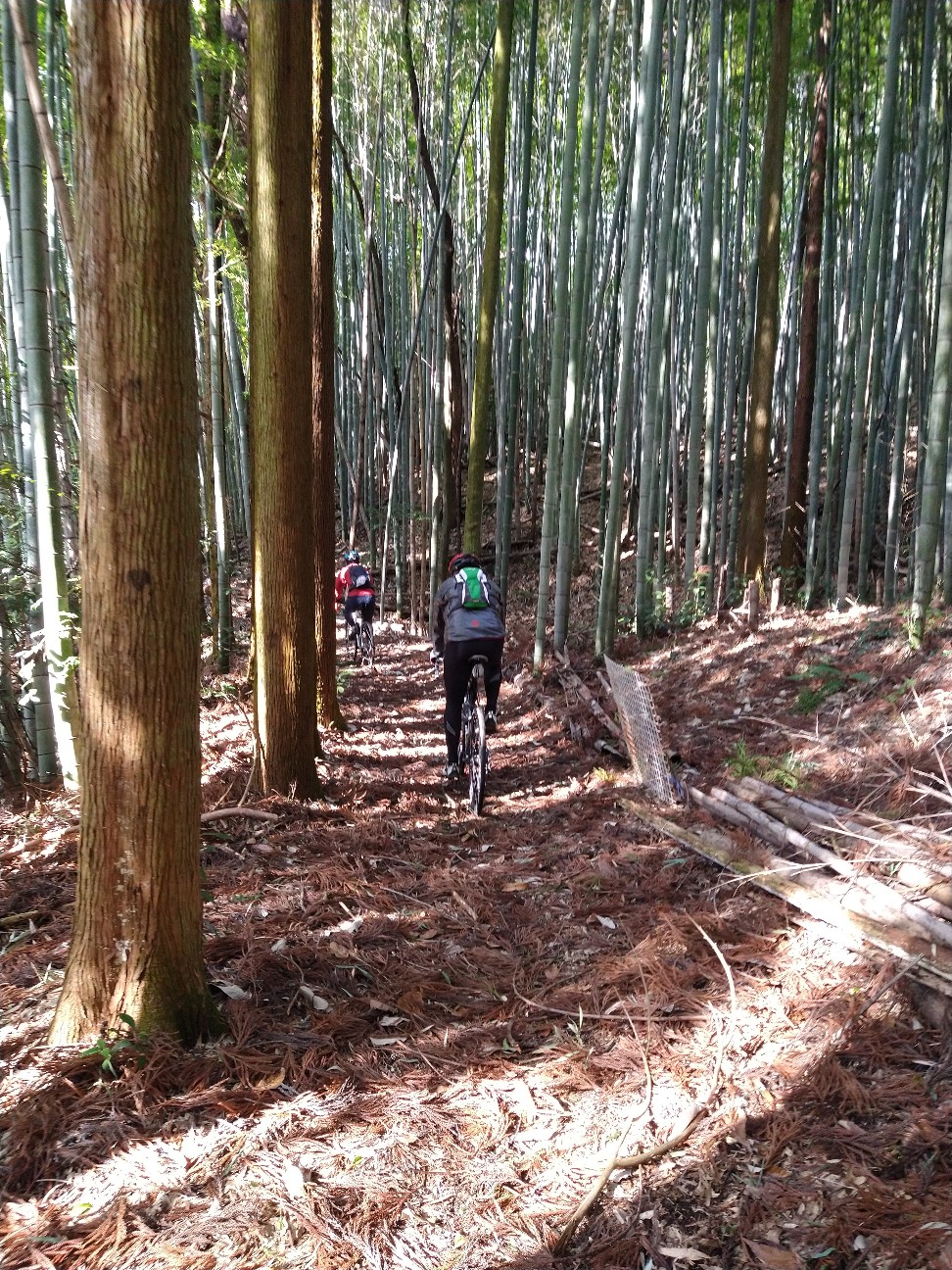 f:id:adiksan:20220210112858j:image f:id:adiksan:20220210112858j:image