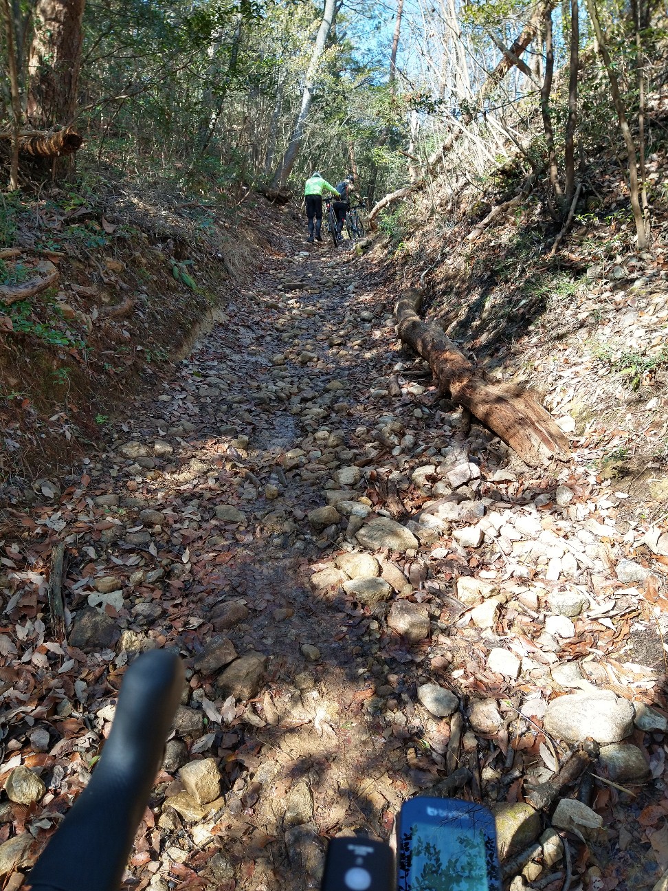 f:id:adiksan:20220210113130j:image f:id:adiksan:20220210113130j:image