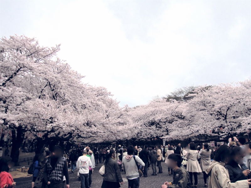 f:id:adiluhung:20110409151934j:image