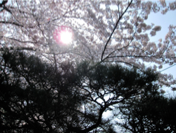 f:id:adiluhung:20110429120025j:image