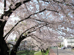 f:id:adiluhung:20110429120026j:image