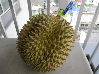 f:id:adiluhung:20110513154429j:image