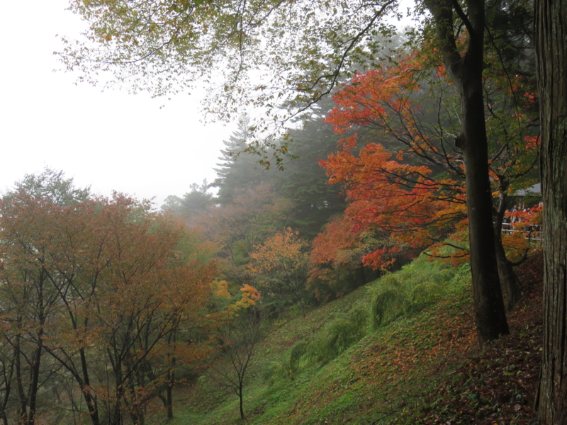 f:id:adiluhung:20141102102152j:image:w640 f:id:adiluhung:20141102102152j:image:w640
