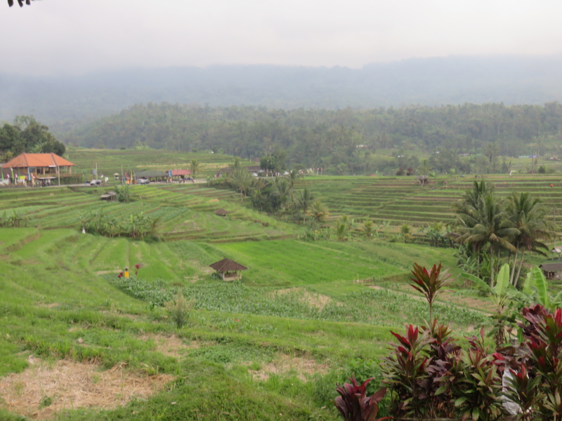 f:id:adiluhung:20150813172244j:image:w640