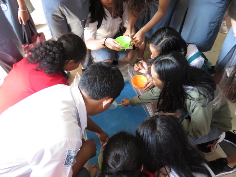 アジアな空間 その1363 金魚すくい 盛り上がりました の巻 アジアな空間 アジアな空間 その1363 金魚すくい 盛り上がりました の巻 アジアな空間