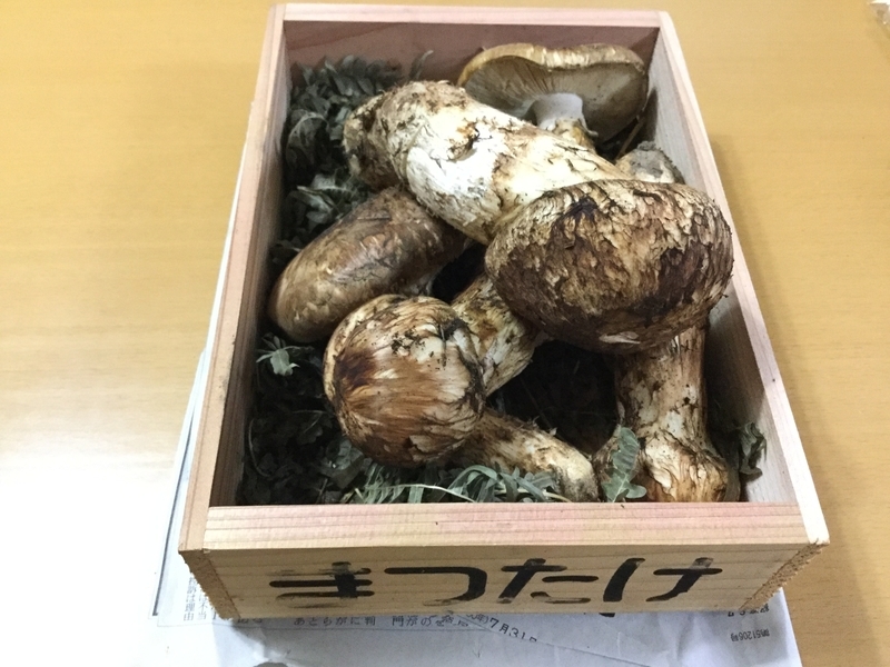f:id:adiluhung:20181005184208j:image:w640
