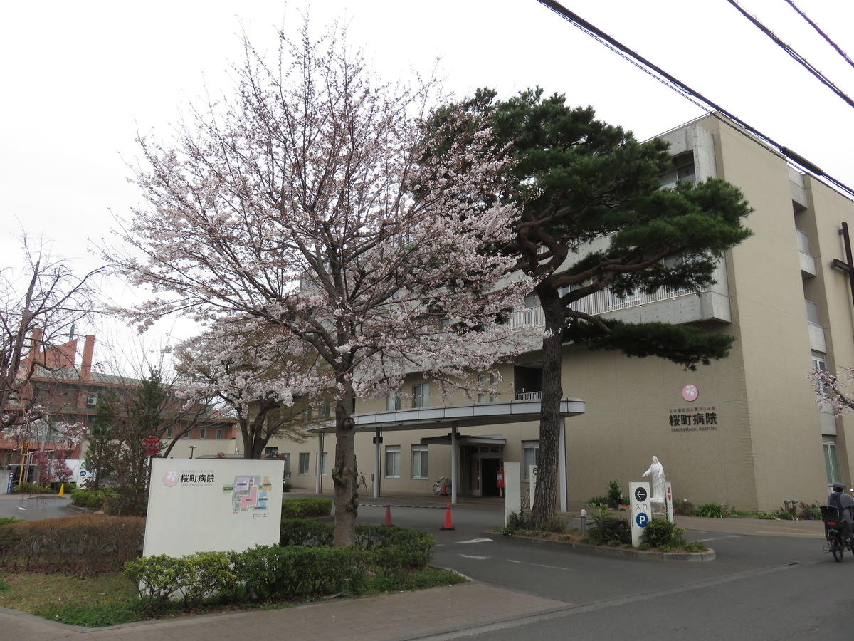 f:id:adiluhung:20190329155129j:plain