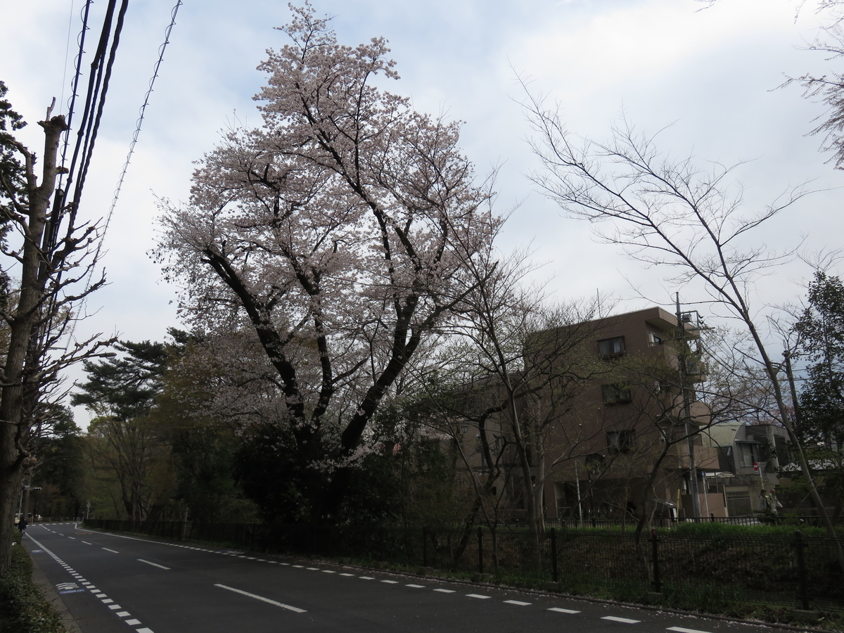 f:id:adiluhung:20190402201805j:plain f:id:adiluhung:20190402201805j:plain