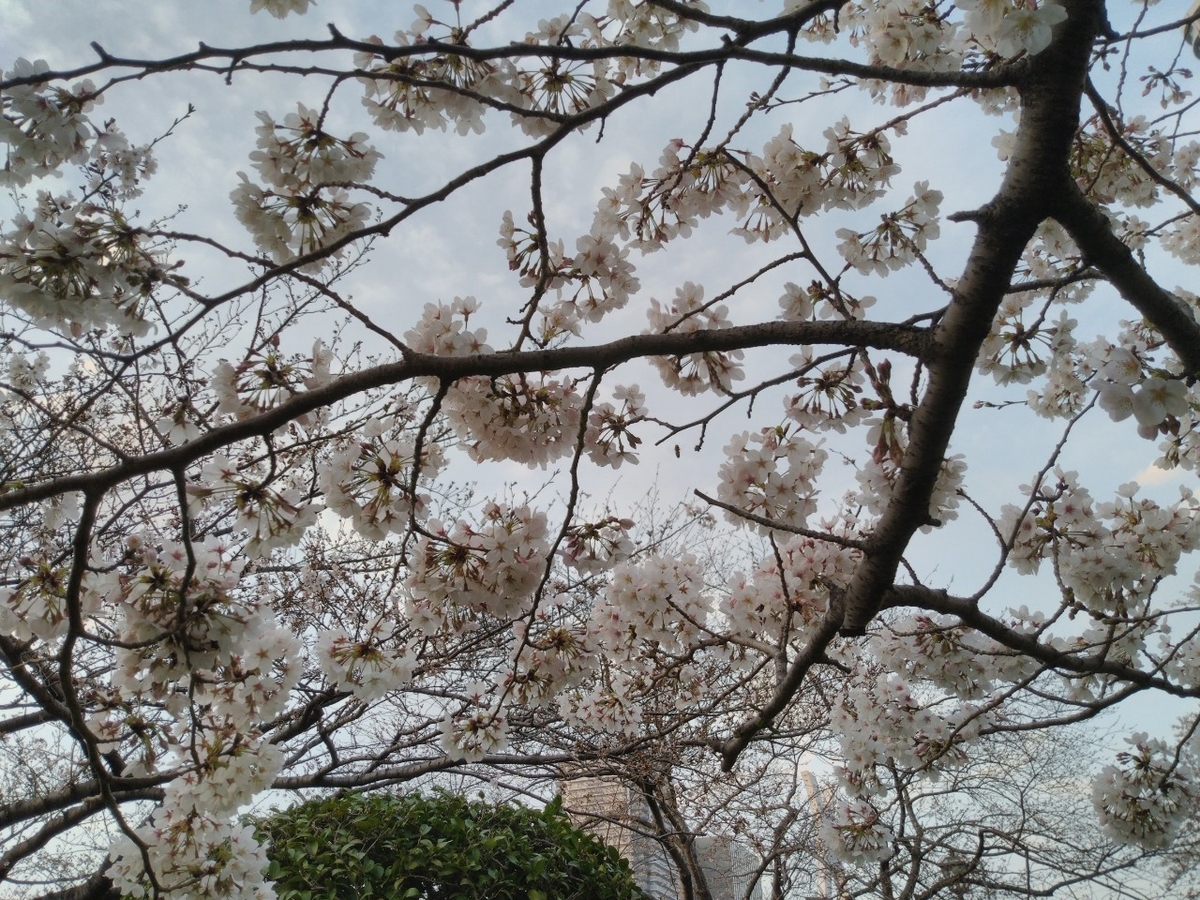 f:id:adiluhung:20200322202533j:plain