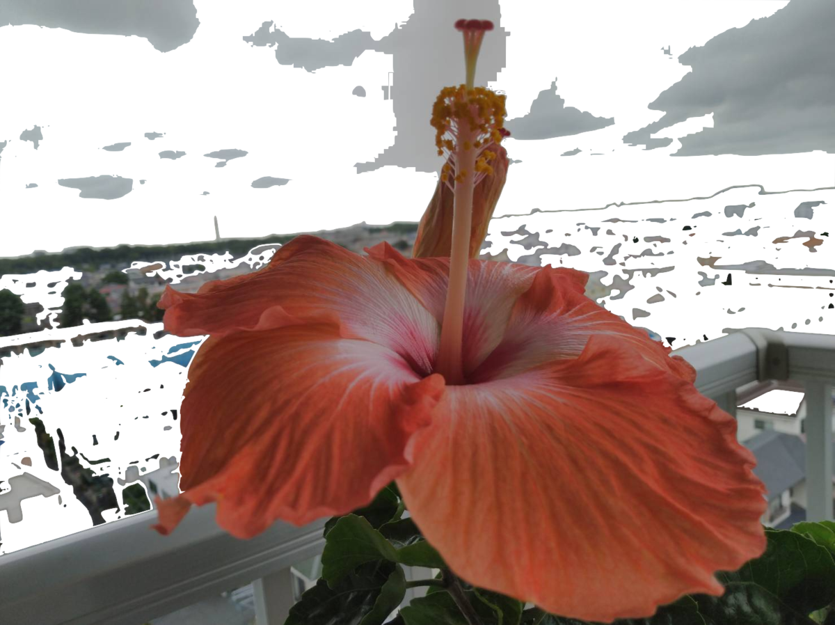 f:id:adiluhung:20210605090631p:plain