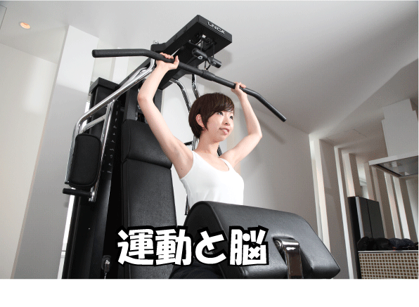 f:id:adism:20180125173601p:plain f:id:adism:20180125173601p:plain