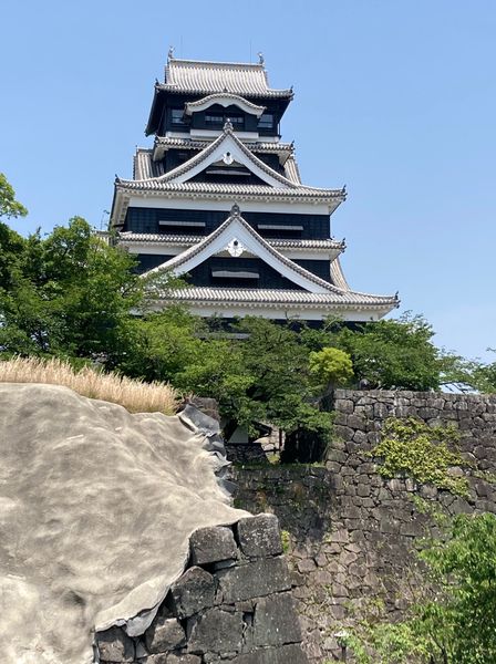 目的論の意味