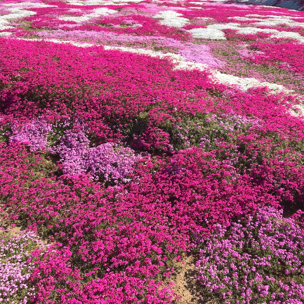 f:id:admadm1110:20220210100739j:image f:id:admadm1110:20220210100739j:image