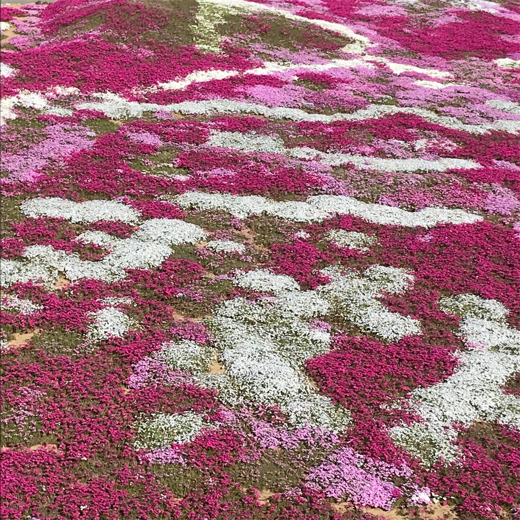 f:id:admadm1110:20220210100744j:image f:id:admadm1110:20220210100744j:image