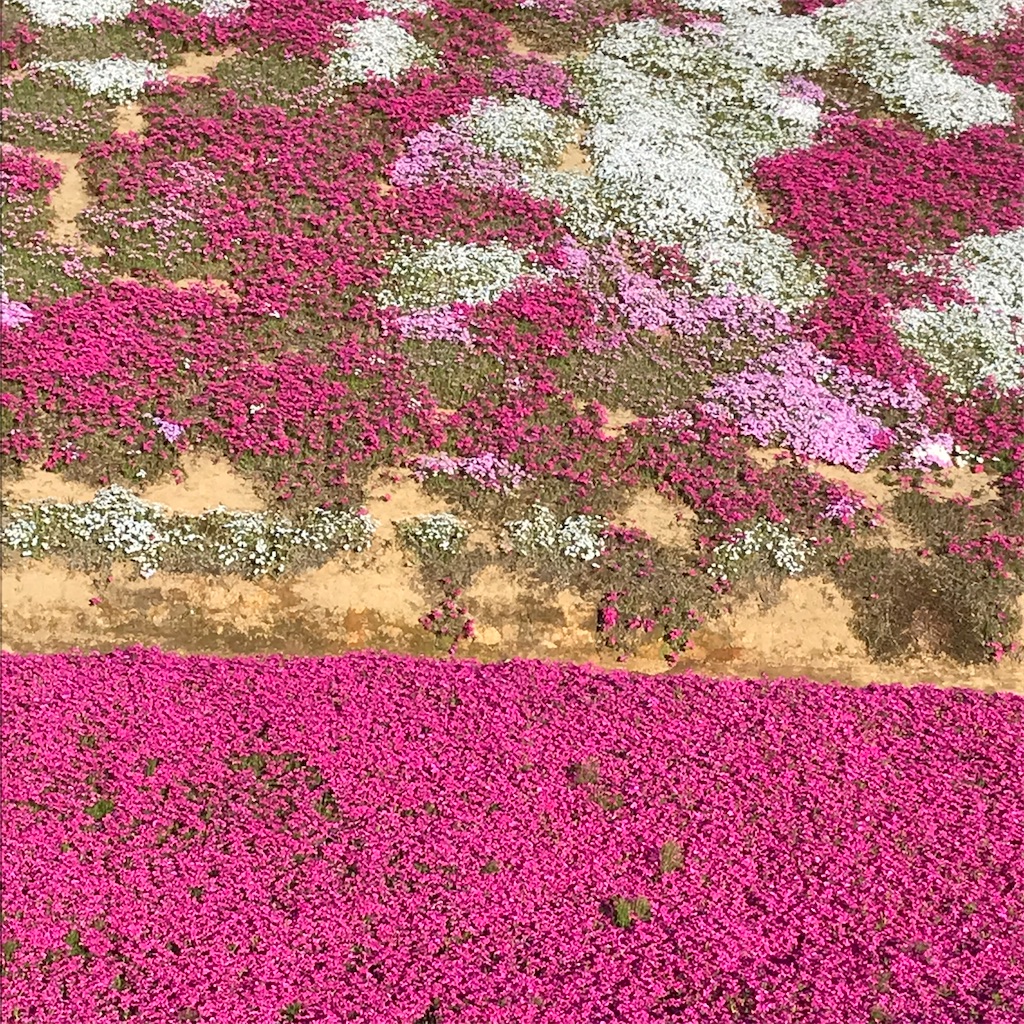 f:id:admadm1110:20220210100748j:image f:id:admadm1110:20220210100748j:image