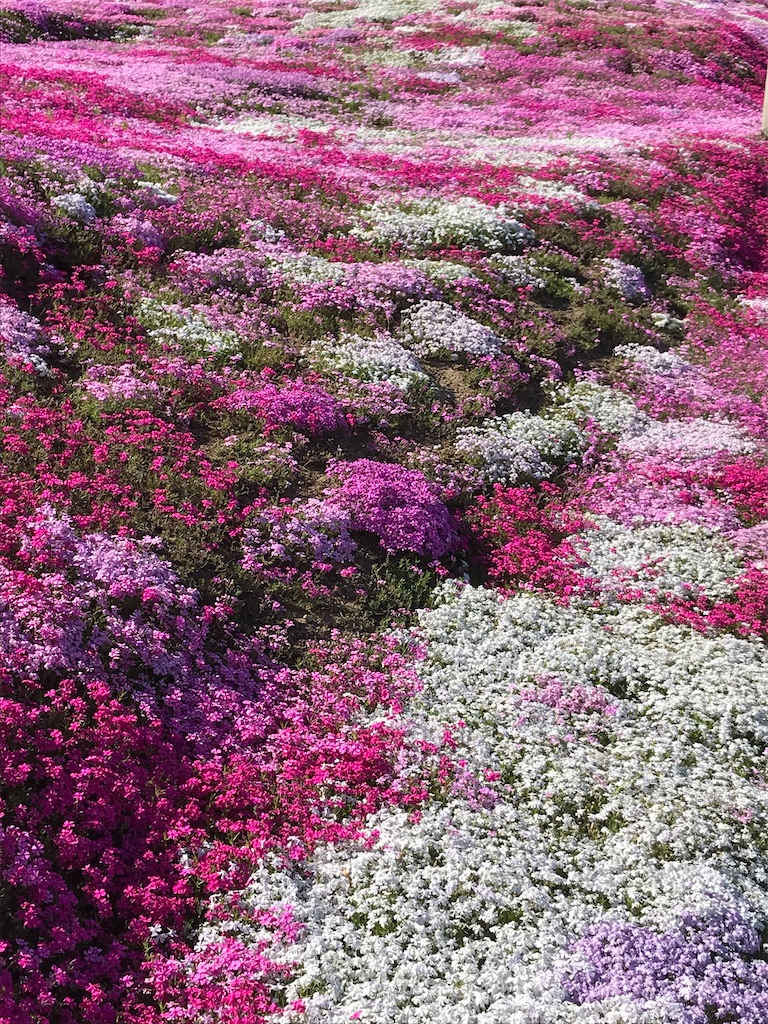 f:id:admadm1110:20220210100753j:image f:id:admadm1110:20220210100753j:image