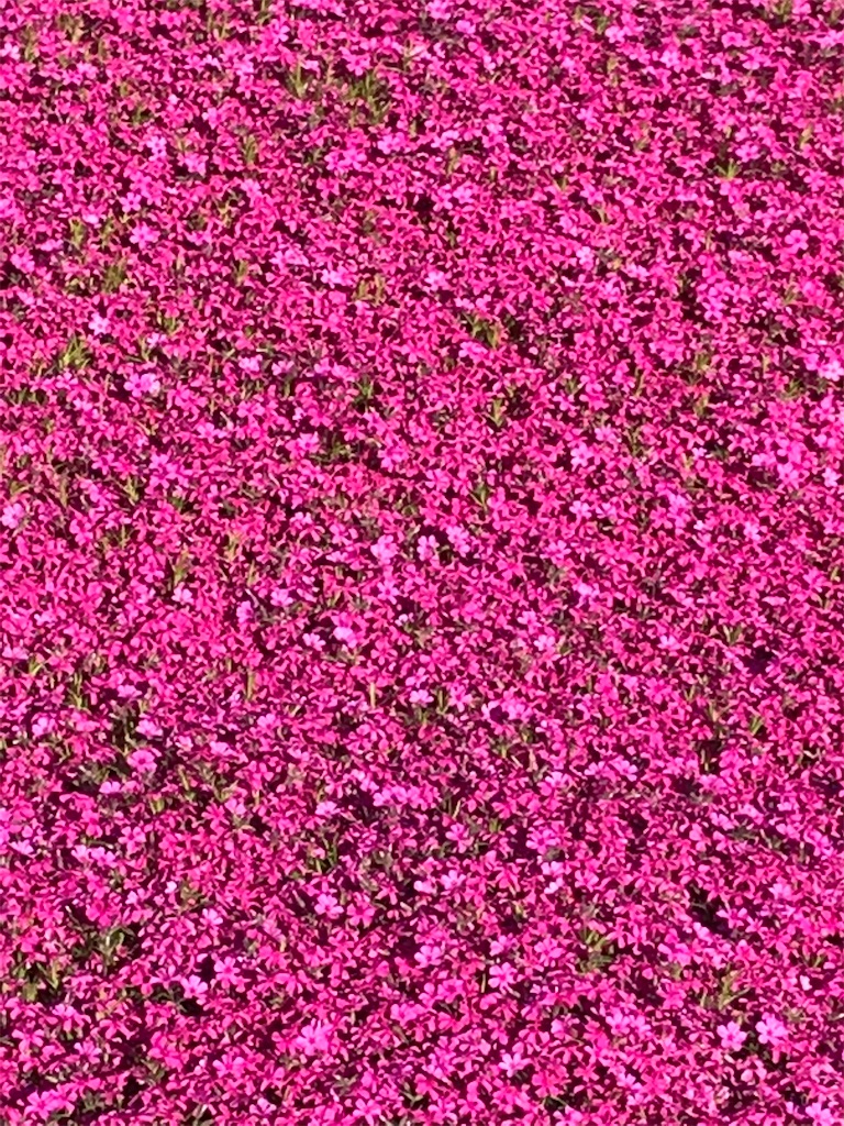 f:id:admadm1110:20220210100757j:image f:id:admadm1110:20220210100757j:image