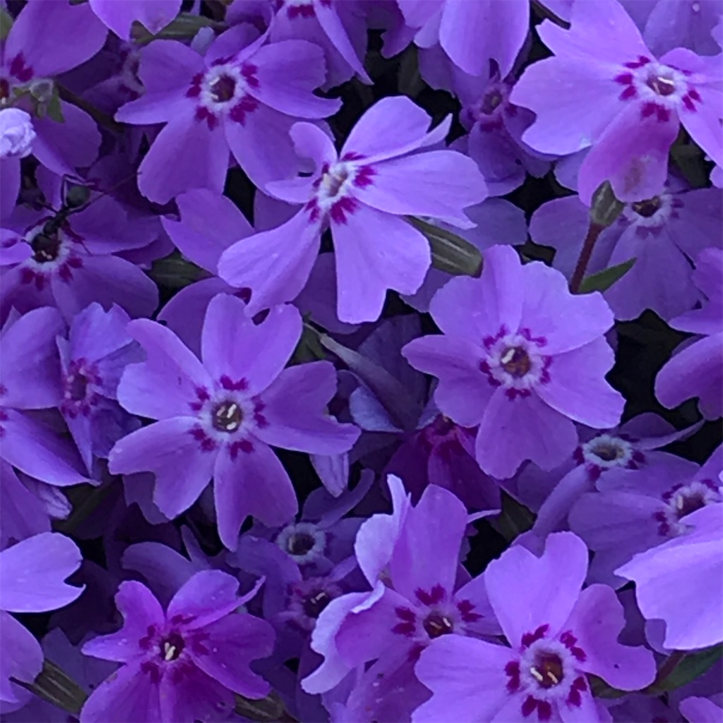 f:id:admadm1110:20220210100801j:image f:id:admadm1110:20220210100801j:image