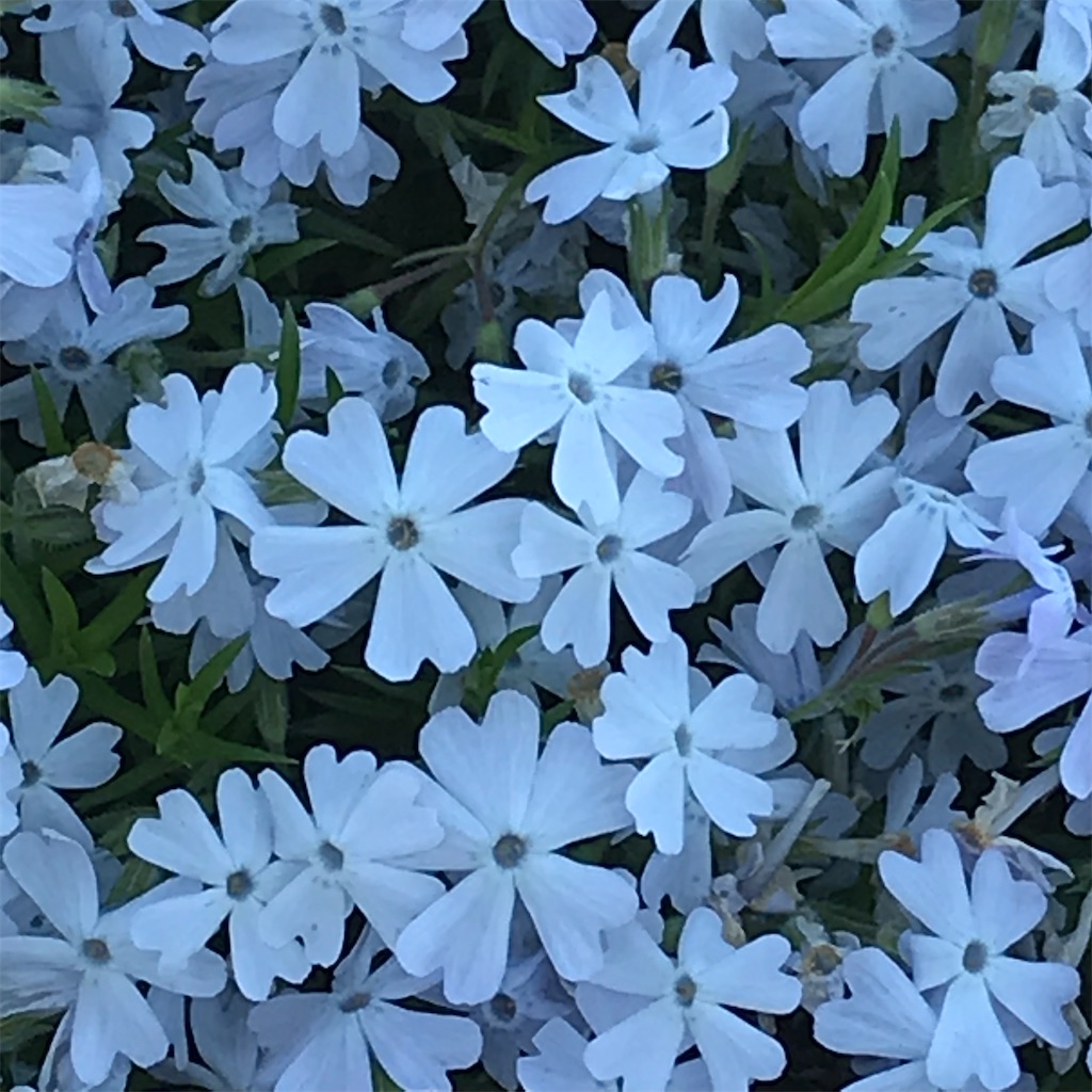 f:id:admadm1110:20220210100805j:image f:id:admadm1110:20220210100805j:image