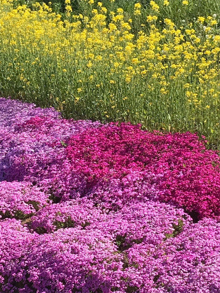 f:id:admadm1110:20220210100810j:image f:id:admadm1110:20220210100810j:image