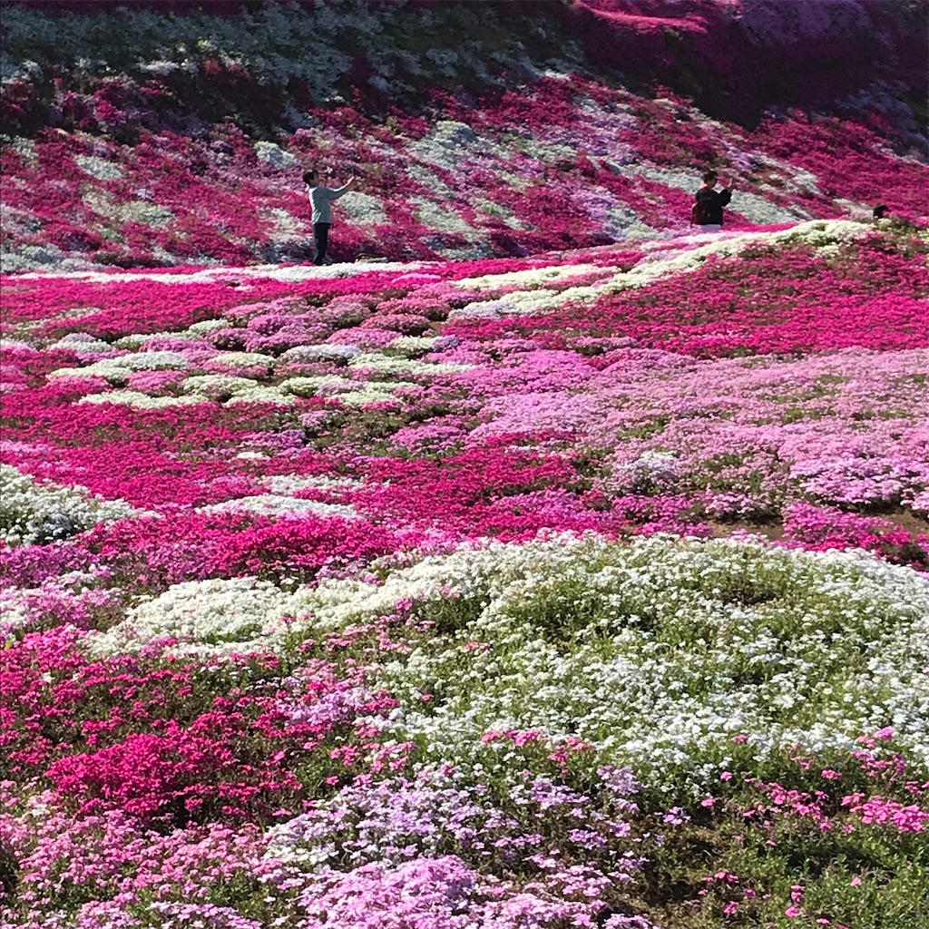 f:id:admadm1110:20220210100814j:image f:id:admadm1110:20220210100814j:image