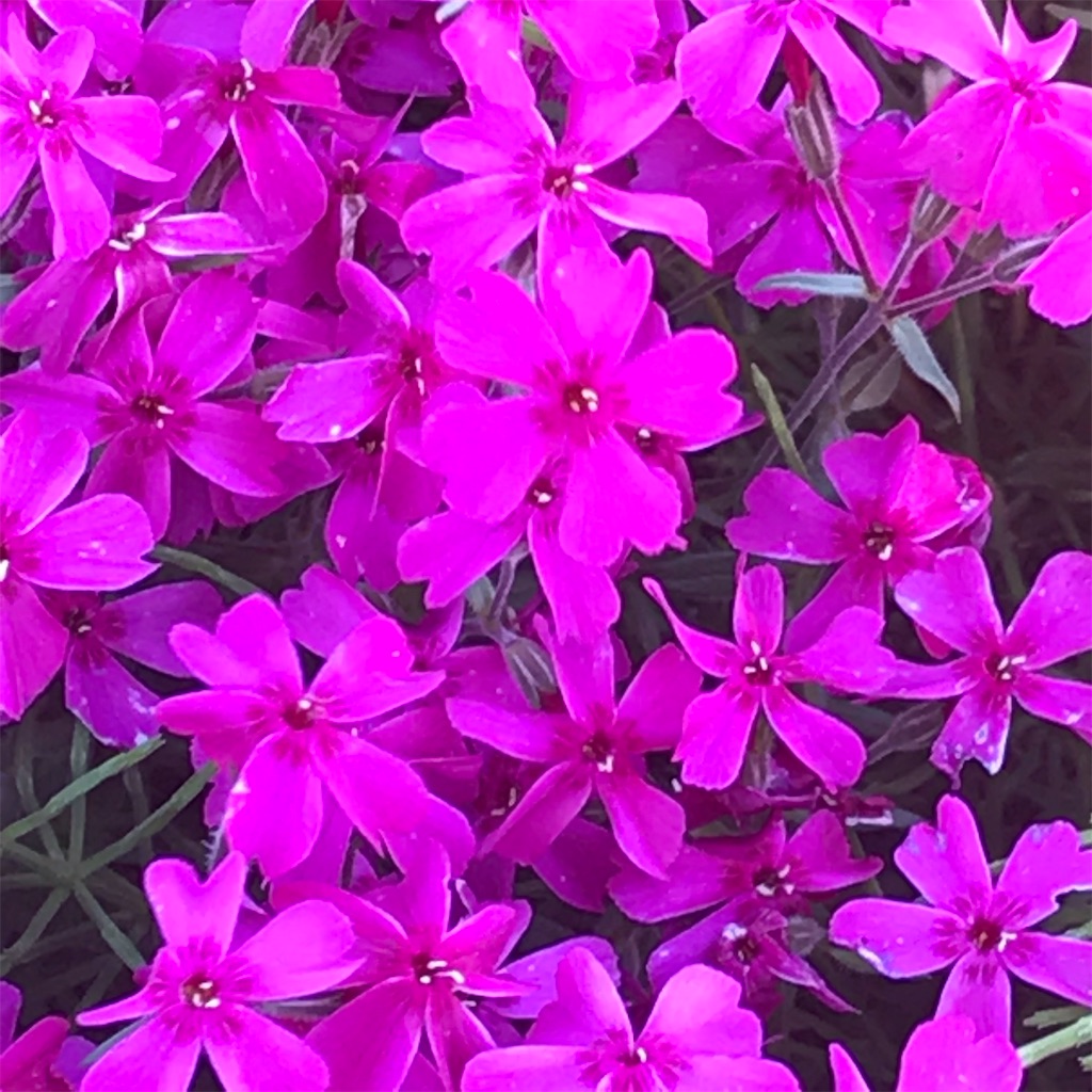 f:id:admadm1110:20220210100817j:image f:id:admadm1110:20220210100817j:image