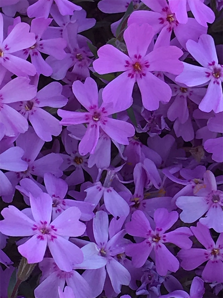 f:id:admadm1110:20220210100821j:image f:id:admadm1110:20220210100821j:image