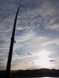f:id:adming:20060911062551j:image