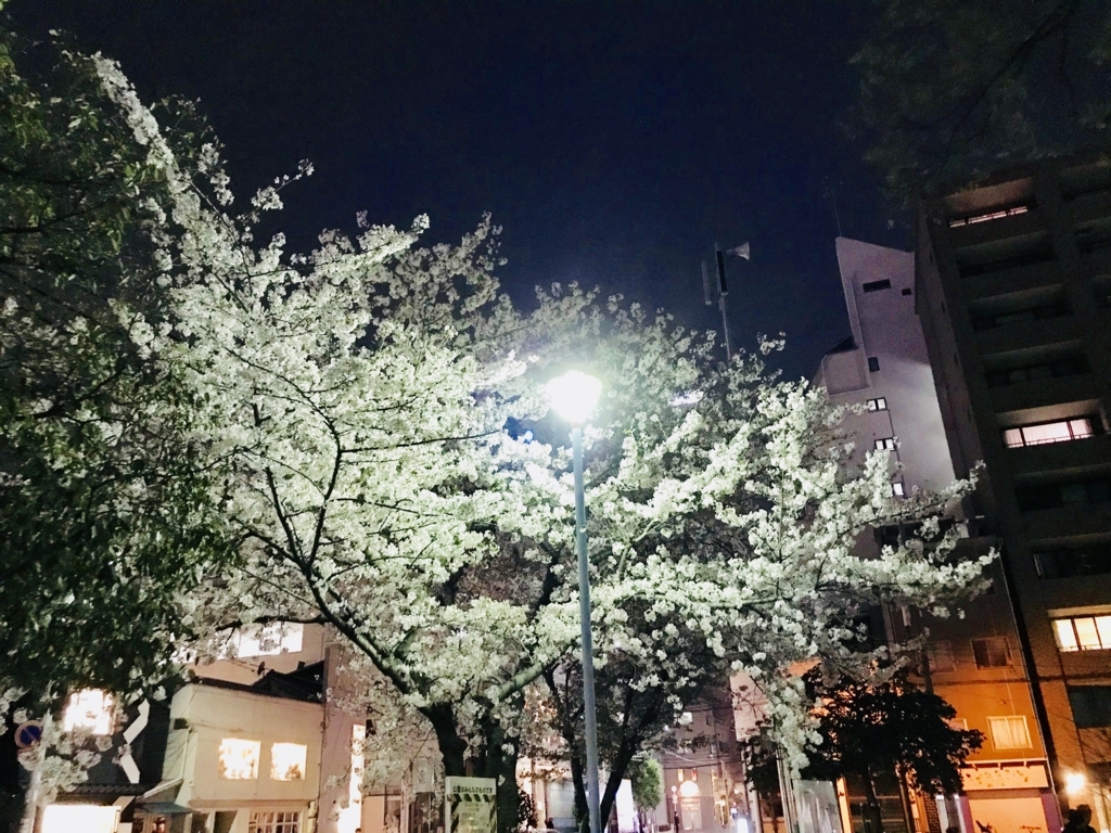 f:id:admiralyoshio:20180411205834j:plain