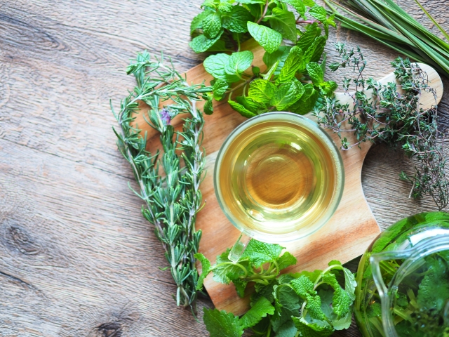 これで安心 虫除け用の 植物 強烈 ゴキブリ撃退 そうなんですね ブログ