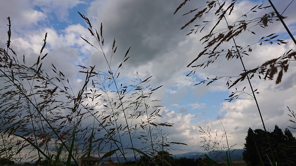 f:id:ado-therapy:20190928001935j:plain f:id:ado-therapy:20190928001935j:plain