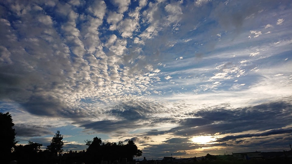f:id:ado-therapy:20190928002829j:plain f:id:ado-therapy:20190928002829j:plain