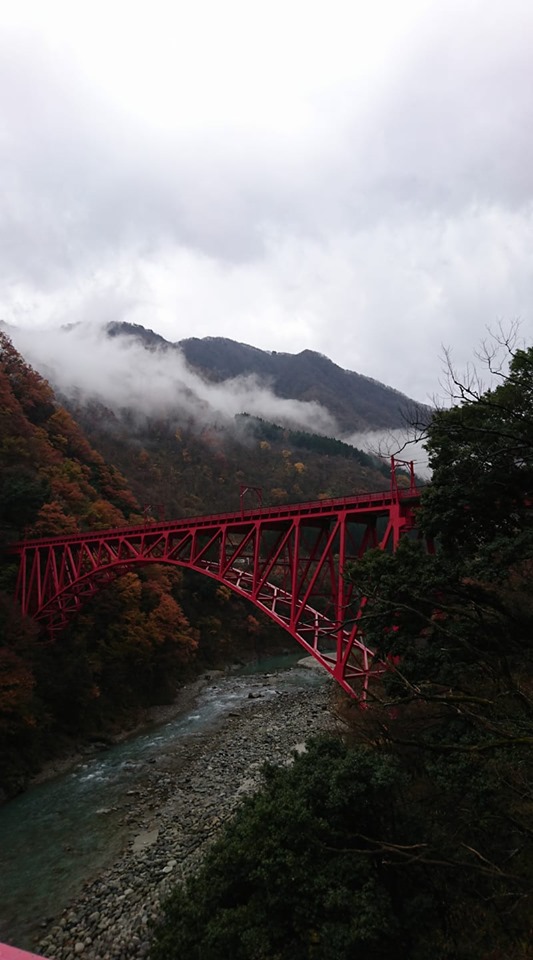f:id:ado-therapy:20191025123832j:plain f:id:ado-therapy:20191025123832j:plain