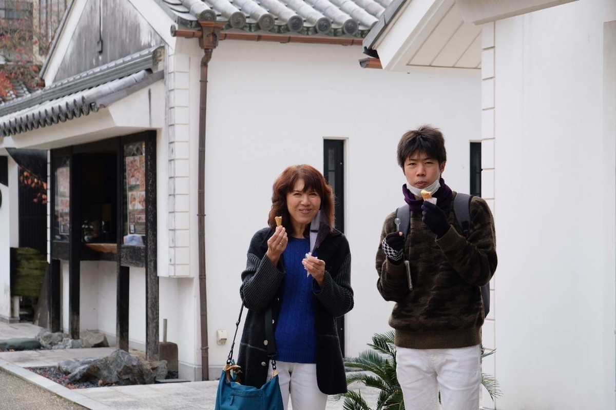 f:id:ado-therapy:20201126204518j:plain