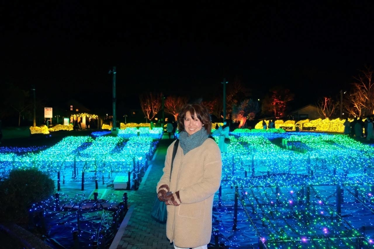 f:id:ado-therapy:20201221175333j:plain