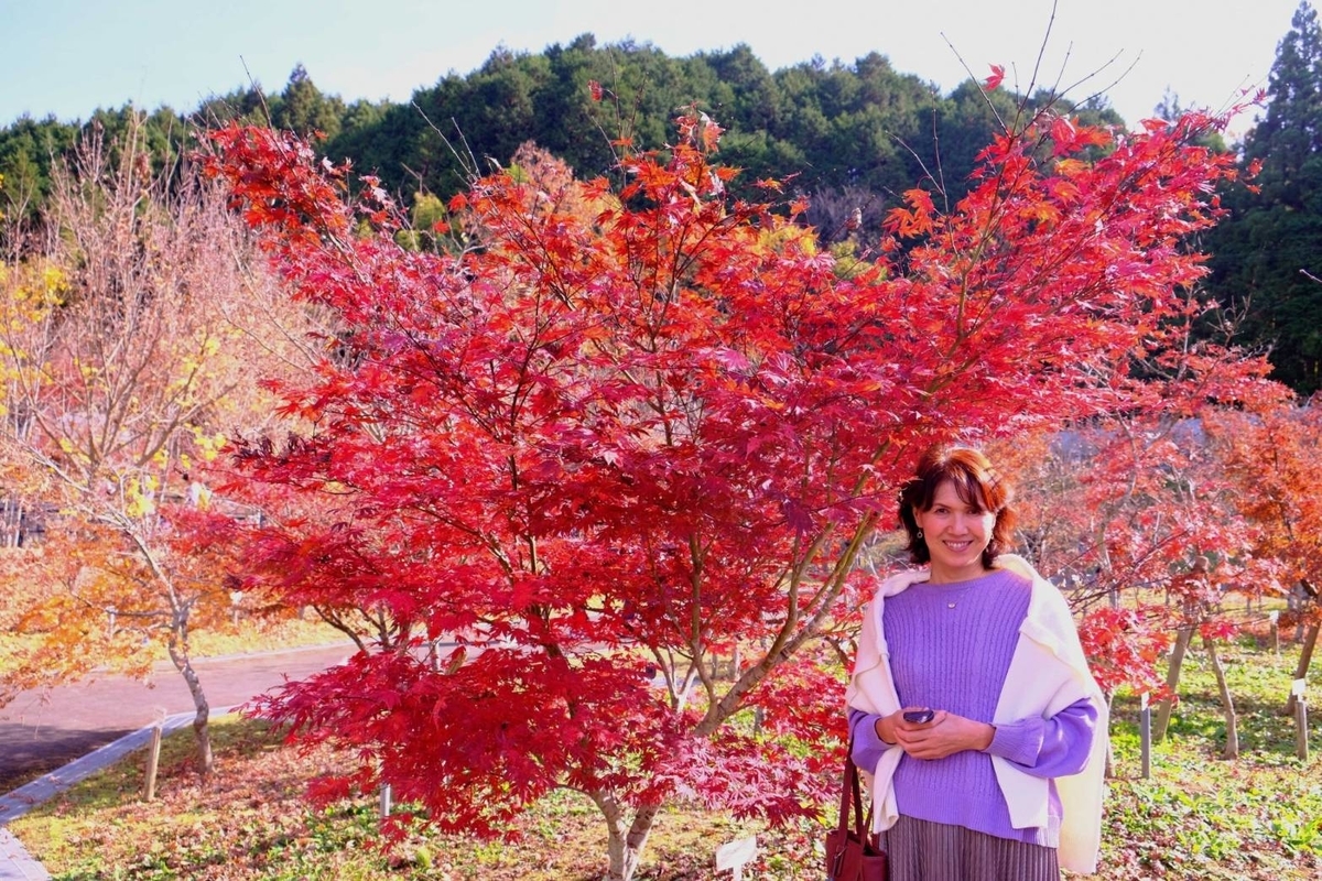 f:id:ado-therapy:20211201224623j:plain