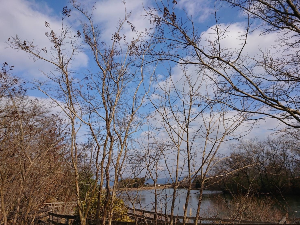 f:id:ado-therapy:20220127191057j:plain