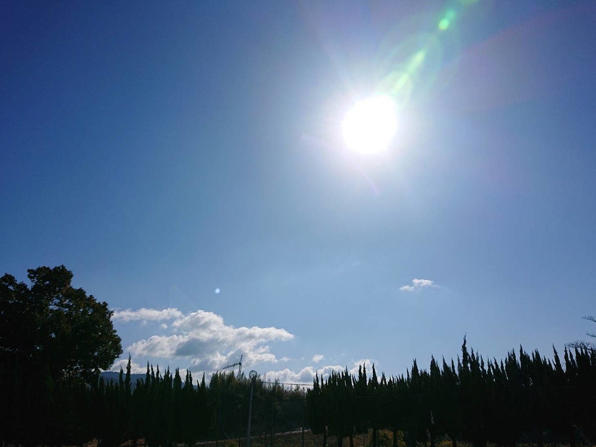 f:id:ado-therapy:20220214191945j:plain