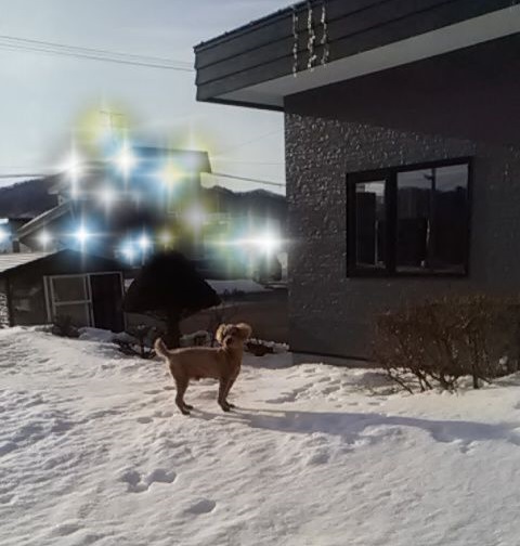 f:id:adoflo:20210318234801j:plain