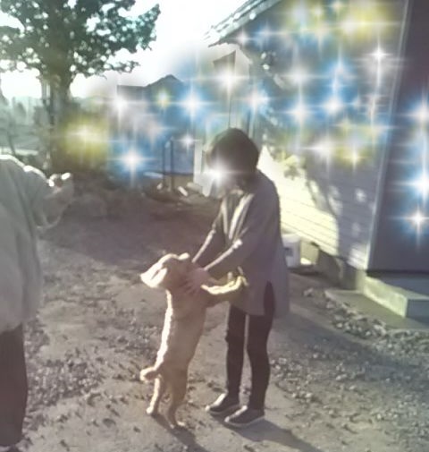 f:id:adoflo:20210415221825j:plain